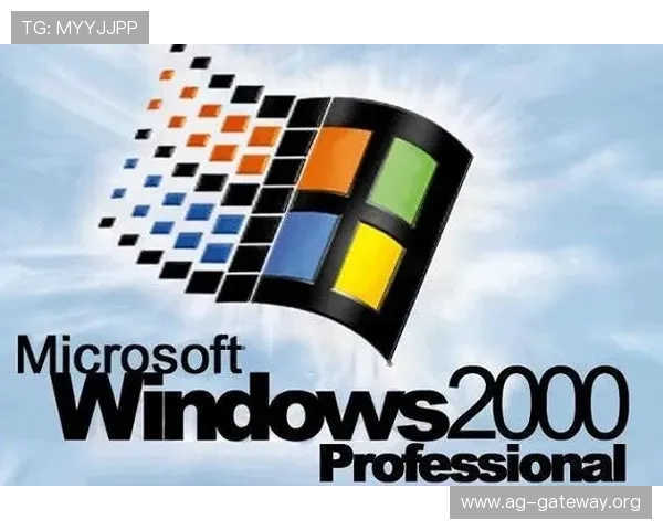 探索PA视讯厅最新游戏内容与丰富互动玩法全方位解析